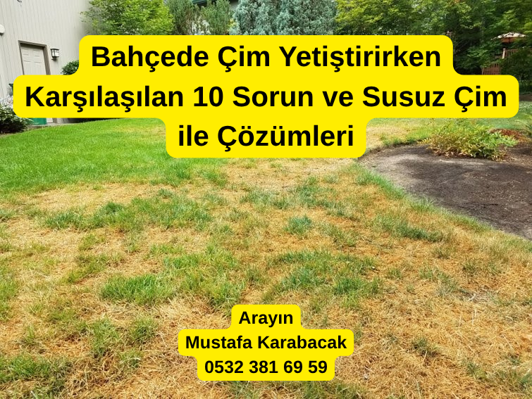 🌿 Bahçede Çim Yetiştirirken Karşılaşılan 10 Sorun ve Susuz Çim ile Çözümleri