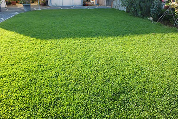 🌿 Türkiye’de En Çok Tercih Edilen Çim Türleri ve Oasis Susuz Çim ile Yeni Nesil Peyzaj Deneyimi