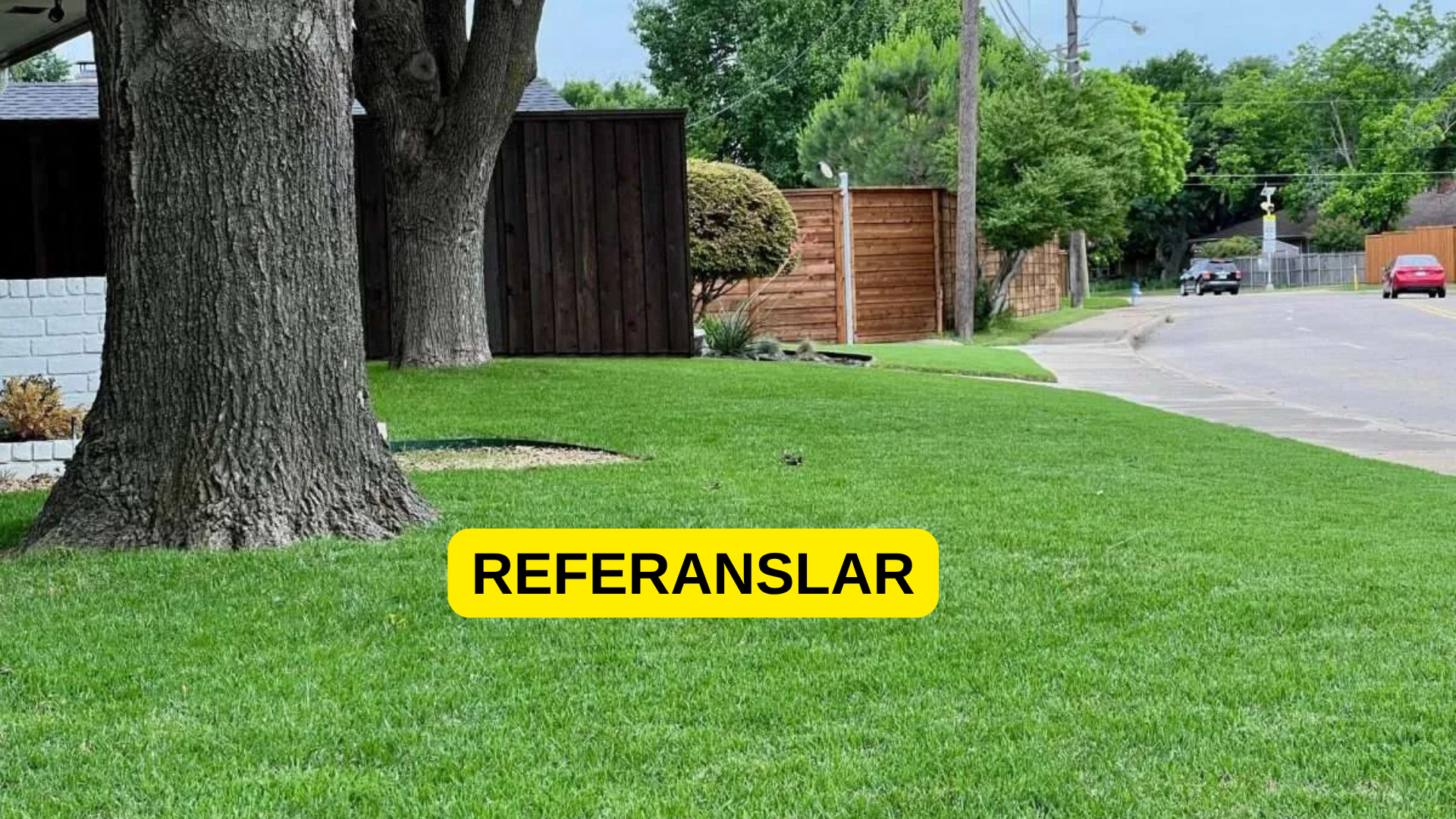 susuz çim referanslar